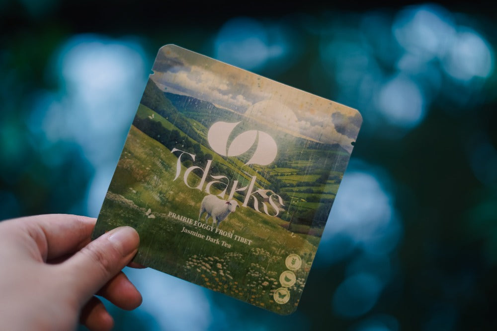 Prairie foggy from Tibet